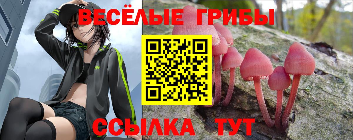Галлюциногенные грибы MAGIC MUSHROOMS Дмитров